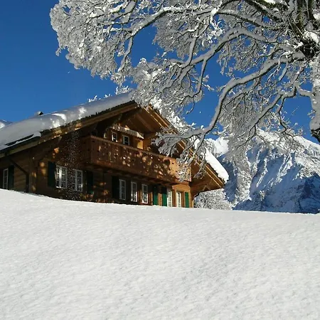 Apartment Herrschaft Grindelwald