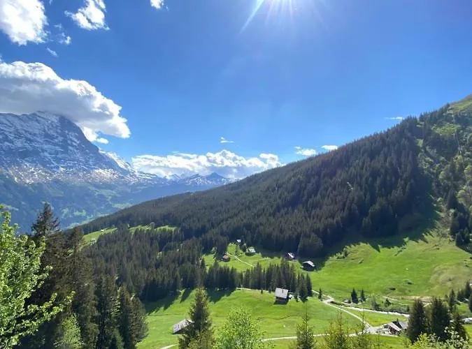 Herrschaft Apartment Grindelwald