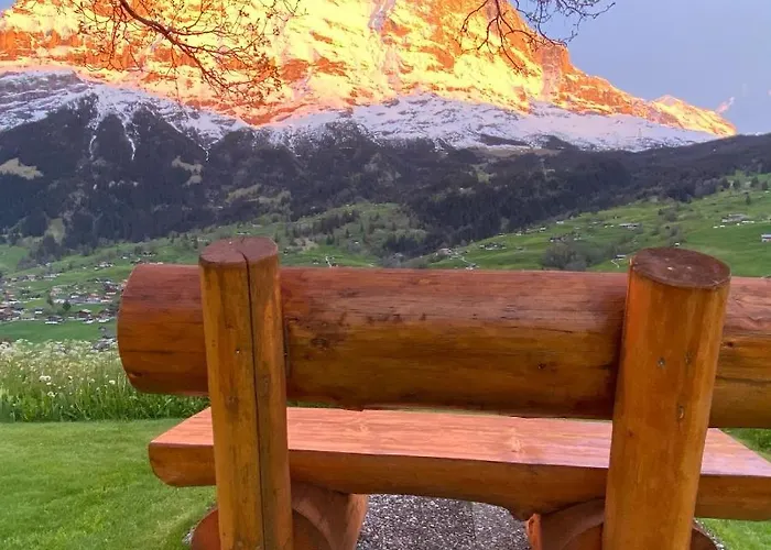 هيرشافت شقة جريندلوالد