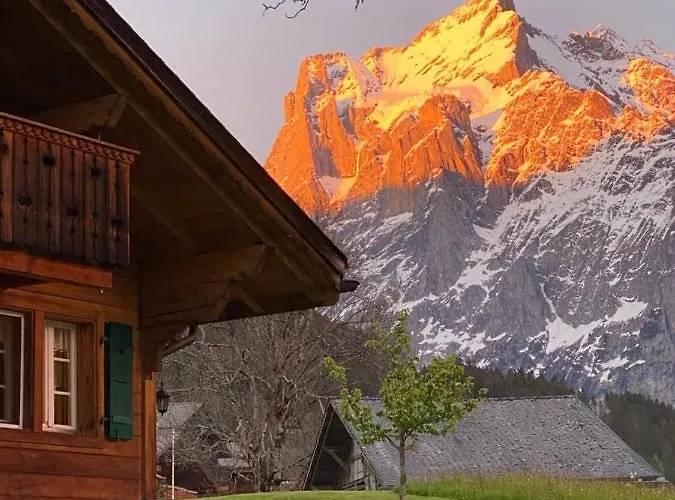 هيرشافت جريندلوالد