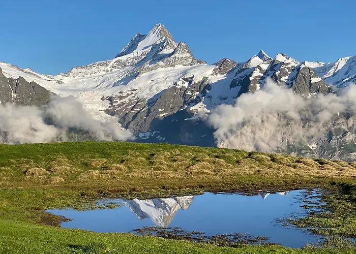 هيرشافت * جريندلوالد