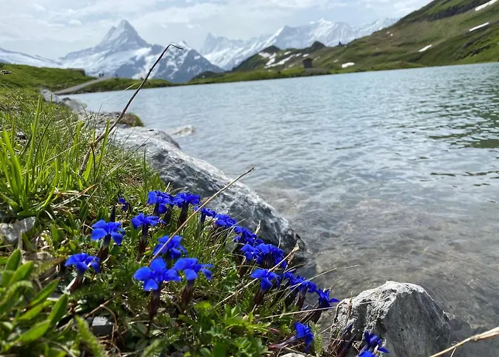 Apartment Herrschaft