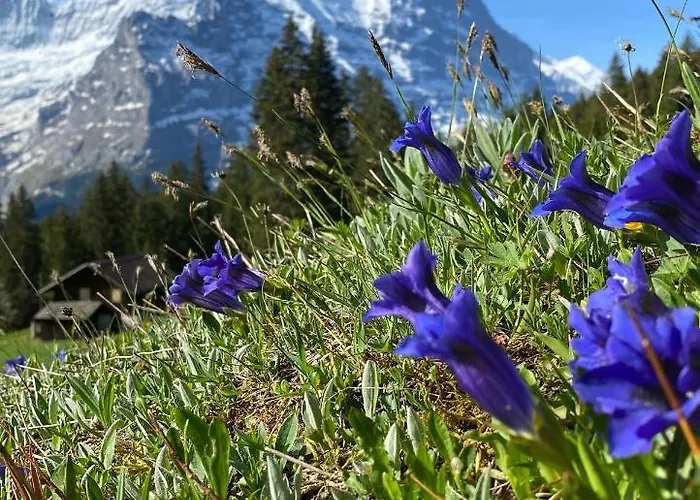 Herrschaft Apartment *