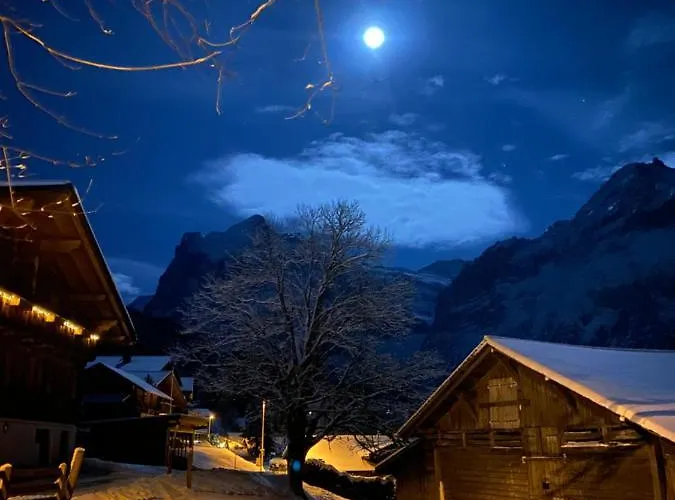 هيرشافت شقة *