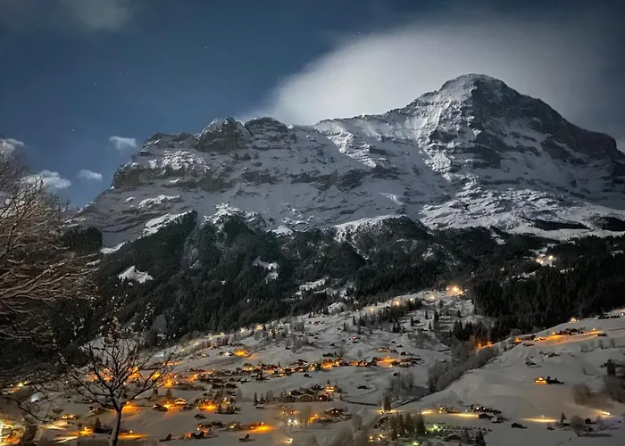 شقة هيرشافت