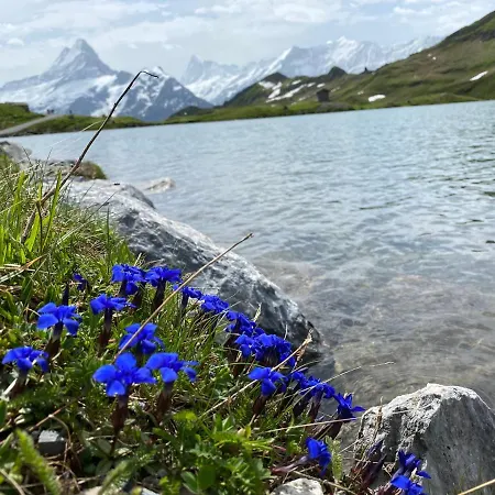 Διαμέρισμα Herrschaft