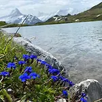 Apartament Herrschaft