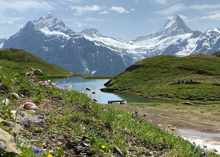 Herrschaft * Гриндельвальд