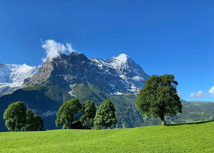 Herrschaft Апартаменты